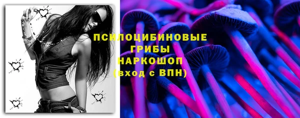 сатива Касимов