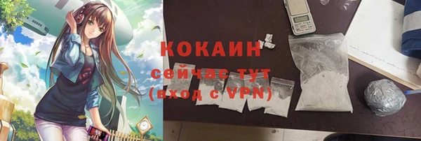 сатива Касимов