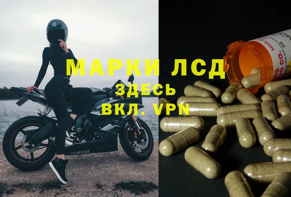 сатива Касимов