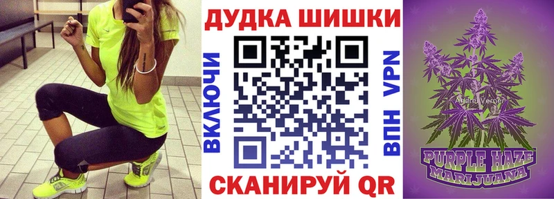 Канабис план  где продают   Любим 